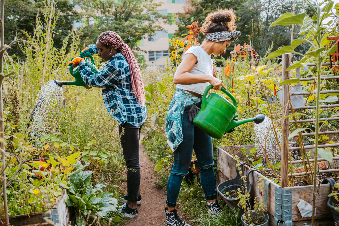 Summer Vibes: Make a Difference by Volunteering