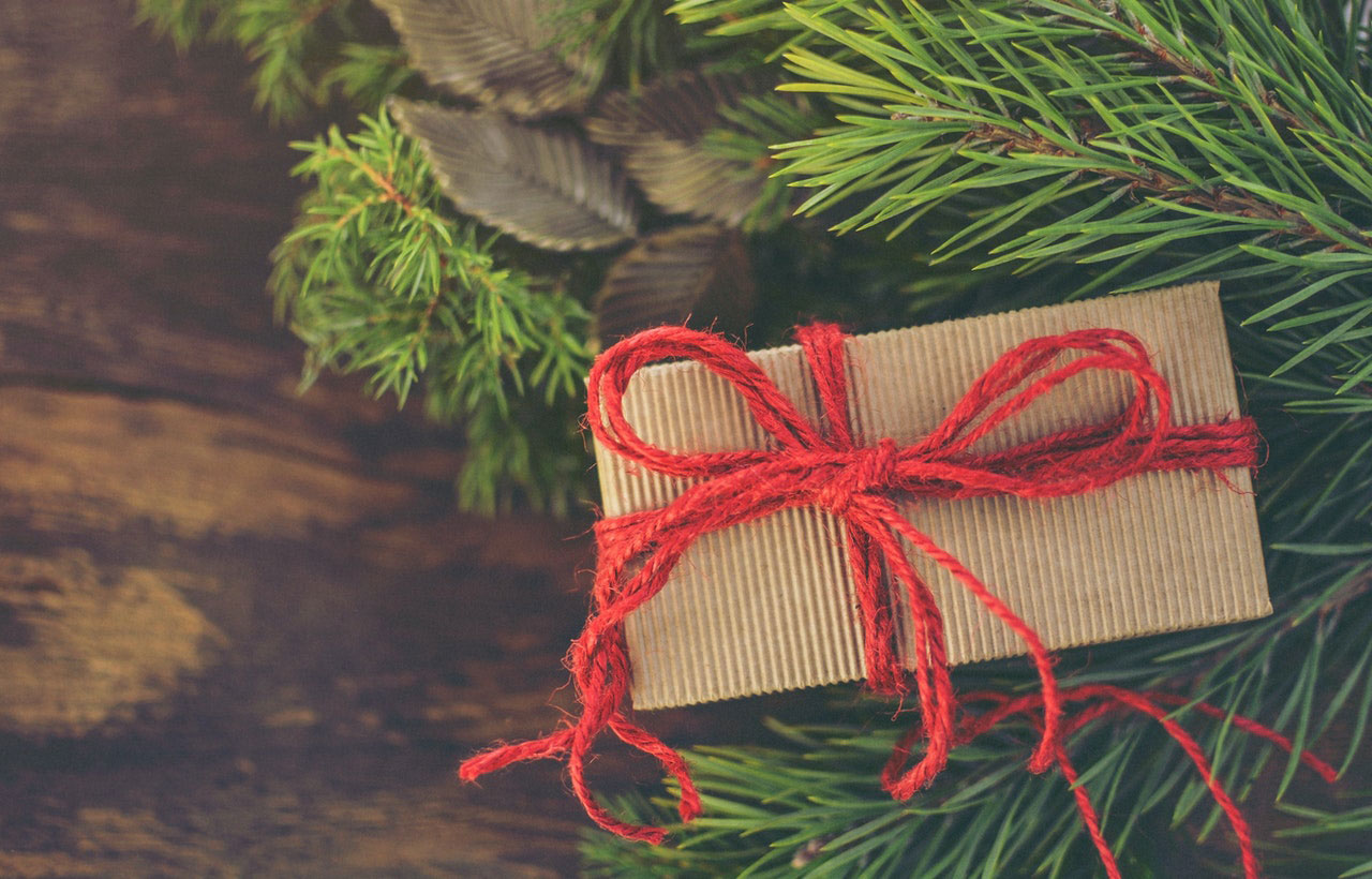 greengifting.PX 1474961