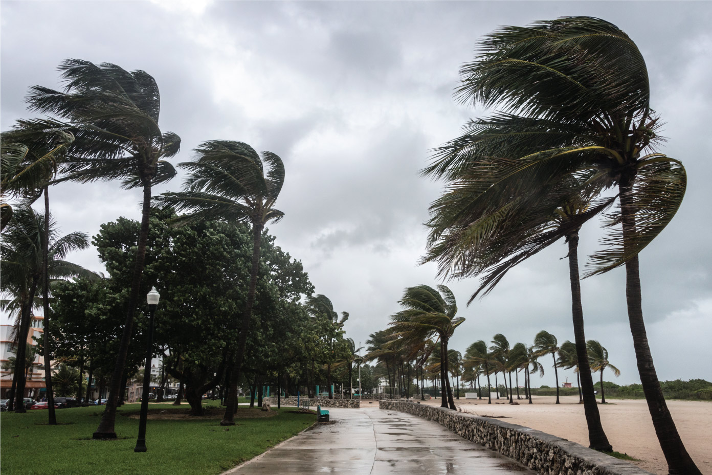 hurricane web